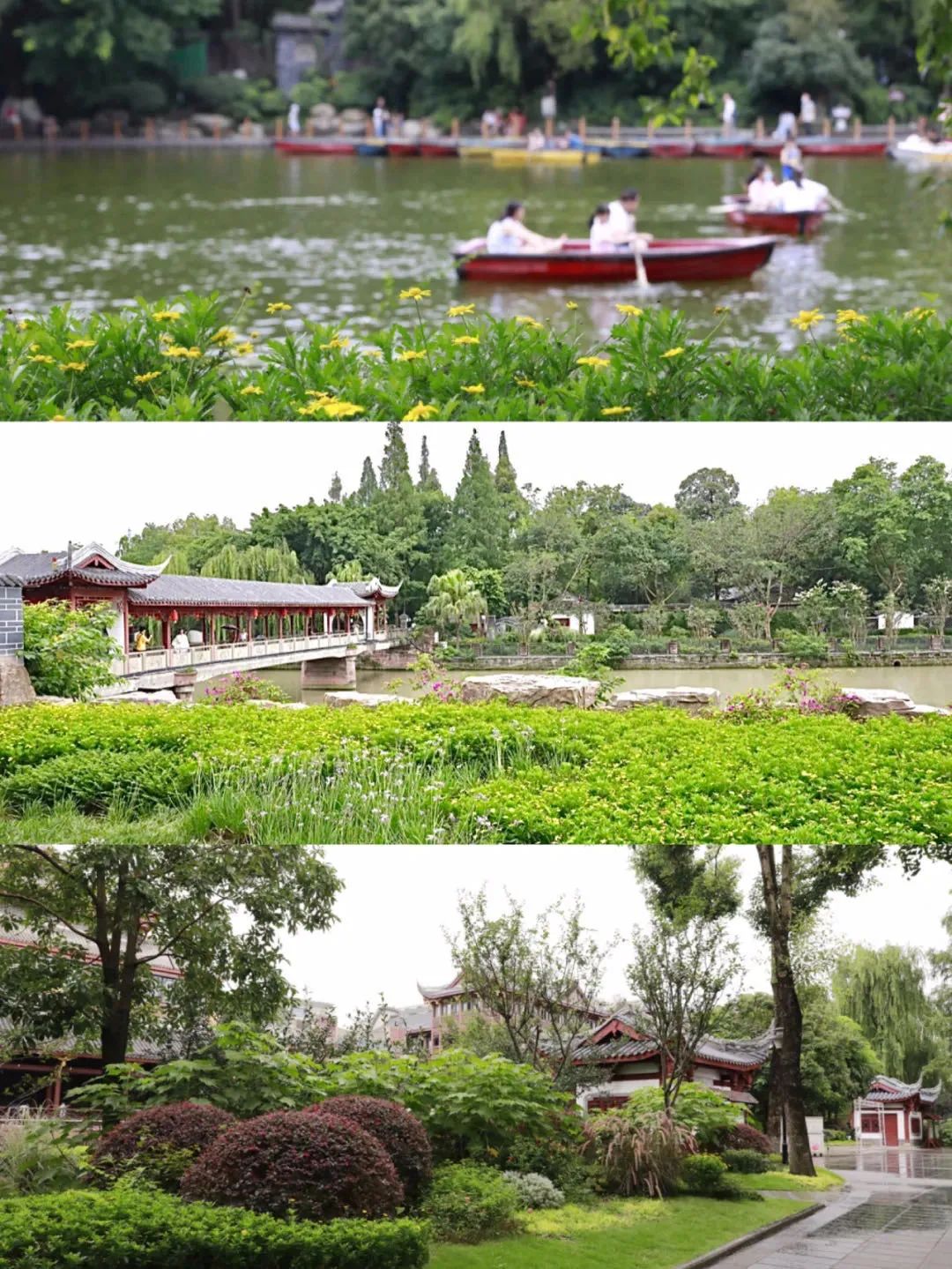 青羊区打卡,青羊区打卡景区