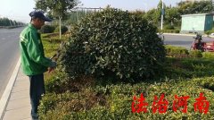 婵槼鏅烘収瀹夐槻,婵槼鏅烘収瀹夐槻绯荤粺