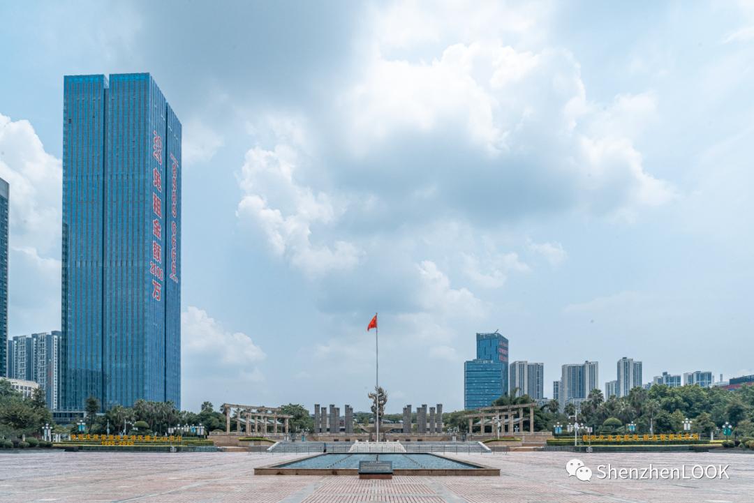 龙岗中心城实况,龙岗中心城全景