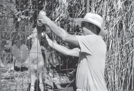 人民日报精读的方法与技巧,中国日报精读笔记