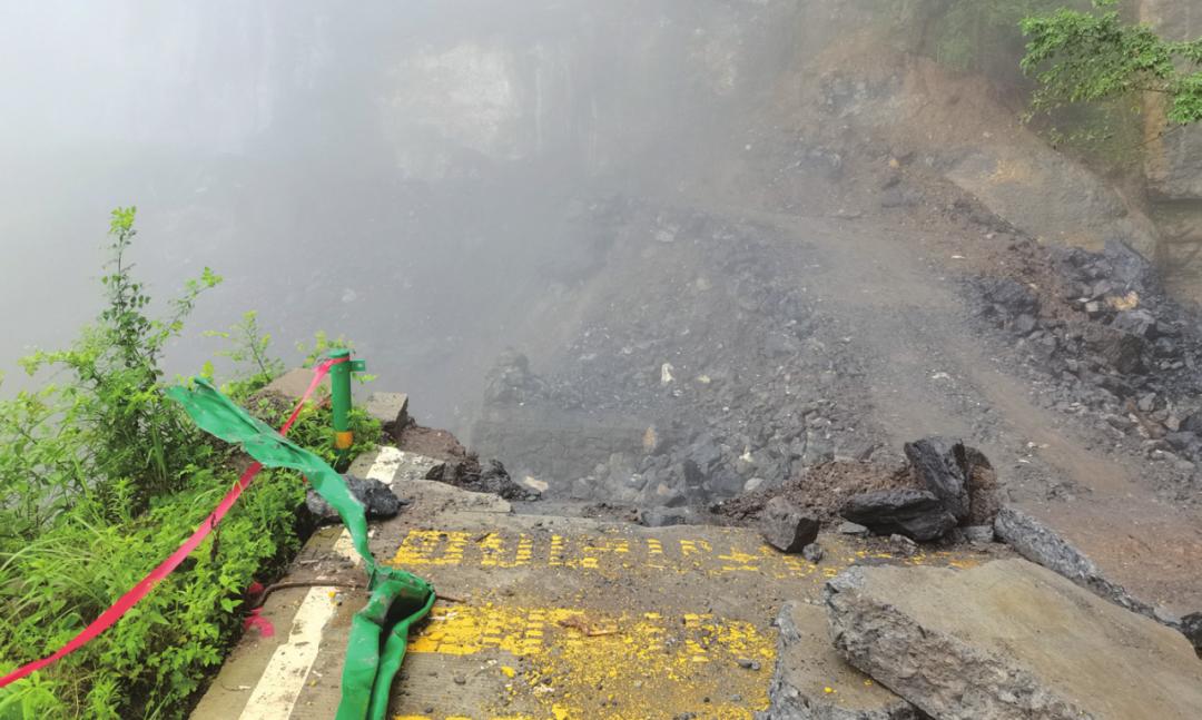 宜昌青年轻霜冻死单根草狂风难毁万木林