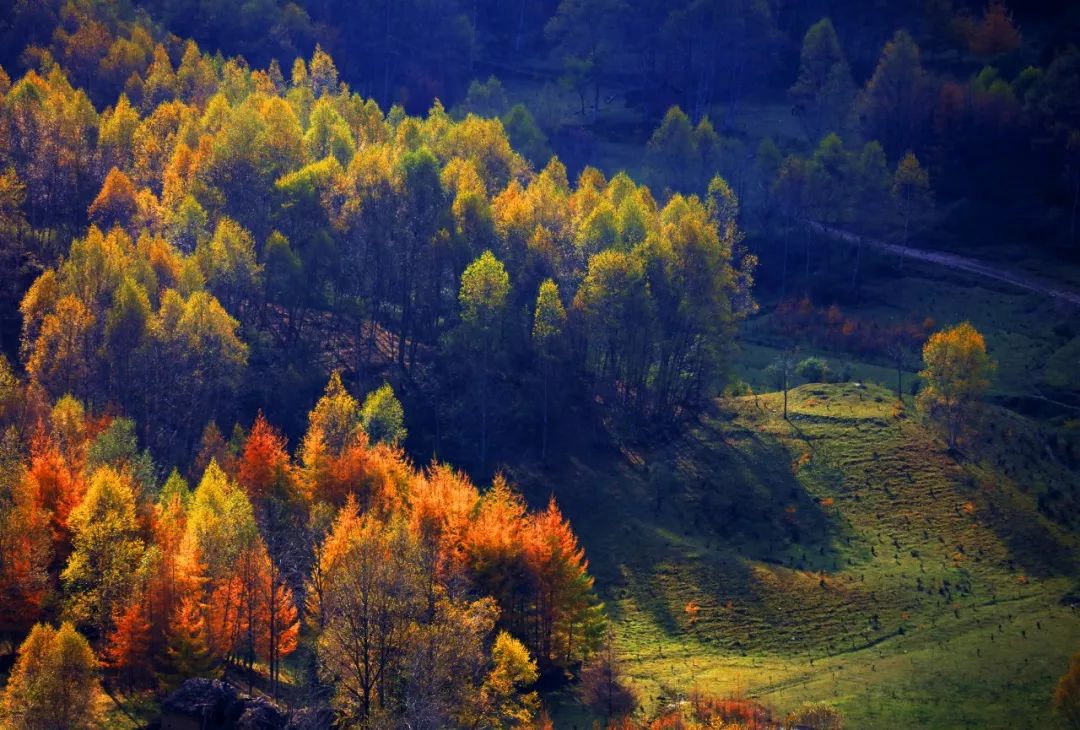 武都旅游景点大全,武都旅游线路