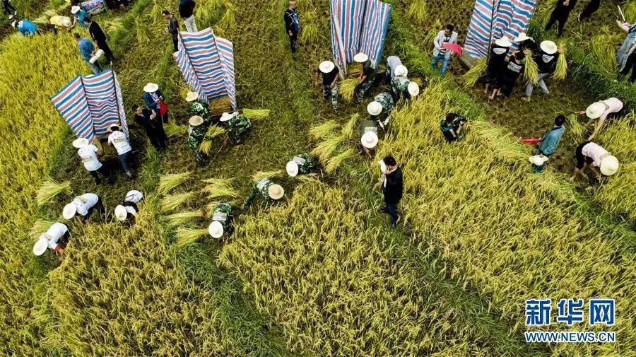 秋分的小知识有什么,今日秋分告诉孩子这些小知识