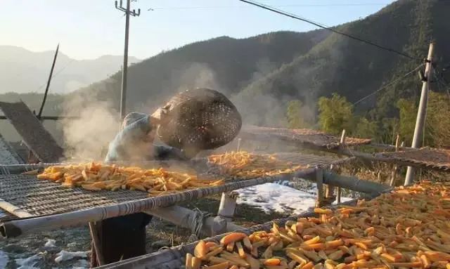 泰和特产牛皮糖,江西吉安泰和土特产牛皮糖