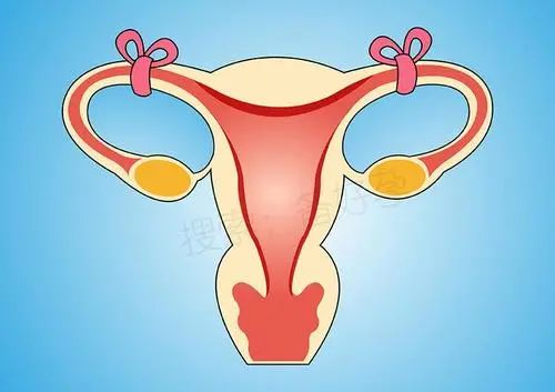 让你更有女人味,能让你变得更加有女人味的东西