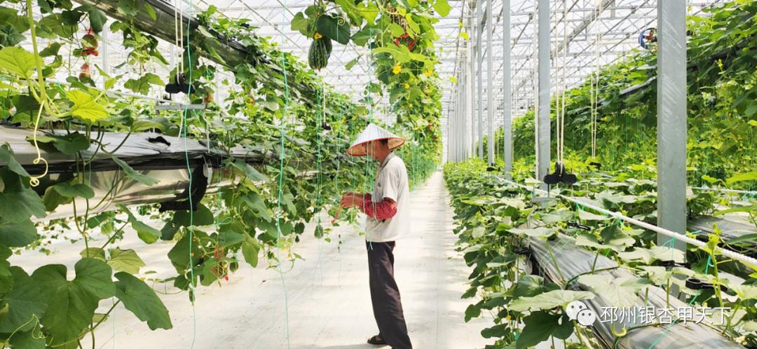 皇朝家私上市了吗,皇朝家私集团上市