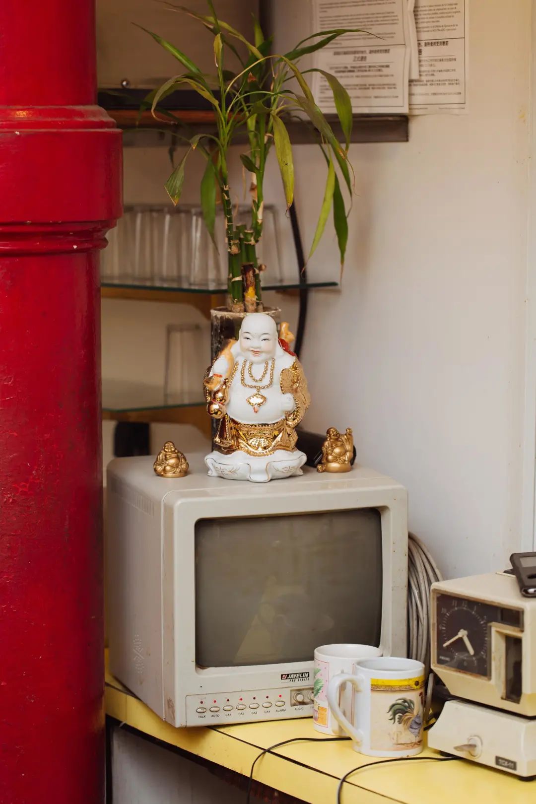 是贫民窟还是迷人异域？美国唐人街变迁史