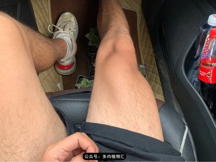 浠庝簯鍗楄繃鏉ュ箍涓滅殑澶氳倝,閬囪澶氳倝鎰熸仼鐢熷懡涓墍鏈夌殑鐩歌瘑