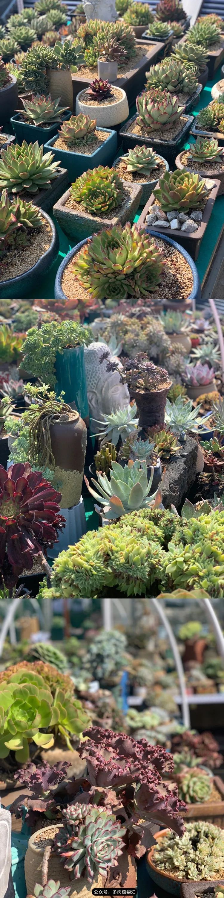 浠庝簯鍗楄繃鏉ュ箍涓滅殑澶氳倝,閬囪澶氳倝鎰熸仼鐢熷懡涓墍鏈夌殑鐩歌瘑