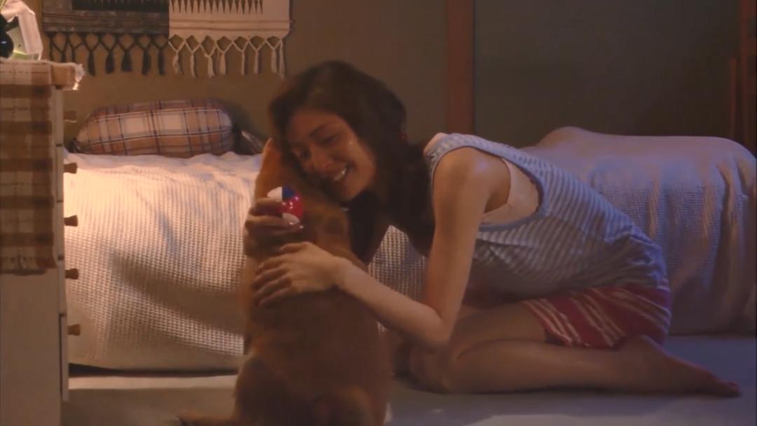 养了十年的狗和出生的婴儿,养了10年的狗和男朋友你选谁