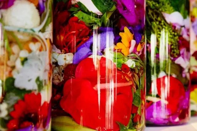 他是日本著名“花花公子”，拈花惹草只为极致的美