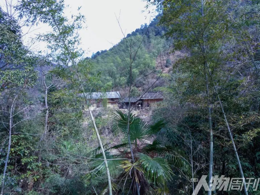 在有条件的情况下买双解放鞋,想买双好的解放鞋