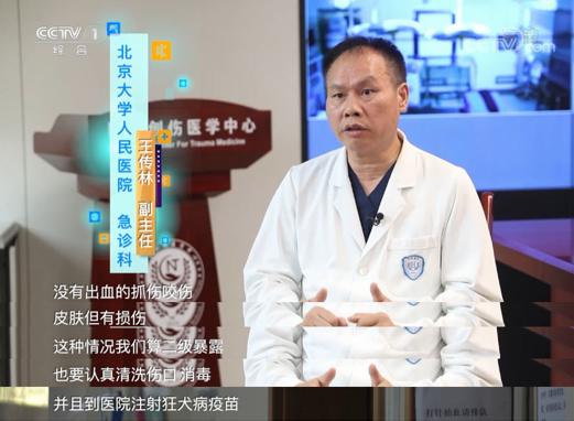 被动物咬伤的正确处理方法,被动物抓伤有什么症状