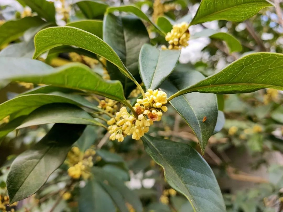 滨江多思创新学校,滨江学校全部排名