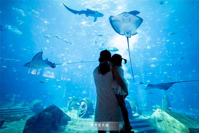 三亚泡酒店带三餐,三亚旅游吃海鲜攻略