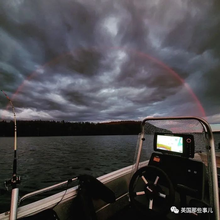 猫头鹰没有眼睛能说话吗,猫头鹰没眼皮