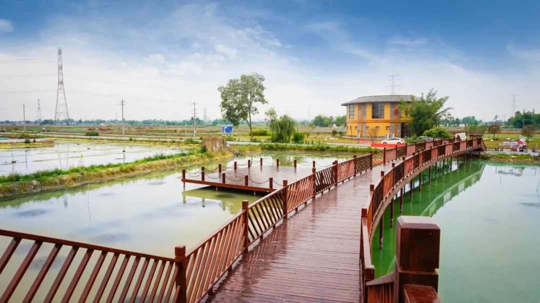 广汉有什么好吃又实惠,广汉有什么推荐的吃的