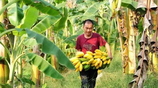 长江入渝第一镇,长江入渝