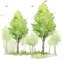 内膜息肉切除后多久怀孕最佳,宫腔内膜中有小息肉会影响怀孕吗