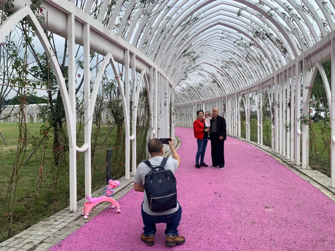 双流最好玩的公园,双流附近公园免费景点