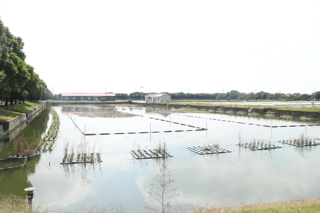 中华好蟹颁奖,中华好螃蟹