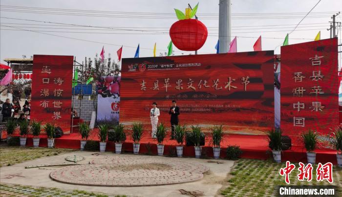 山西吉县苹果基地,山西吉县苹果助农促增收