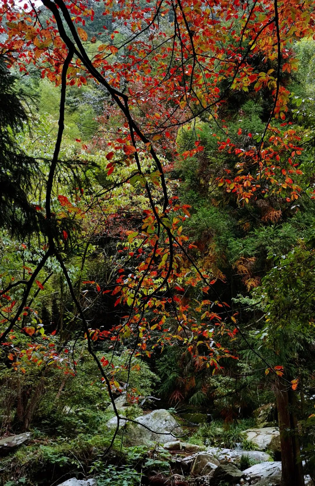 武汉人自驾游住哪里,武汉人自驾游住哪里好