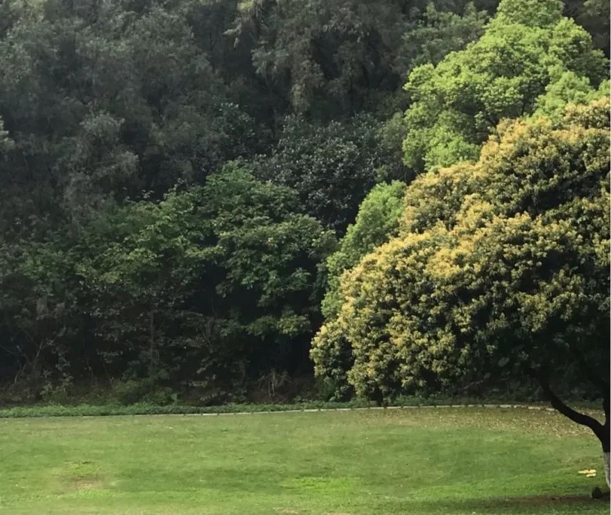 东莞周末带小孩哪里有好玩的地方,东莞又有什么好玩的