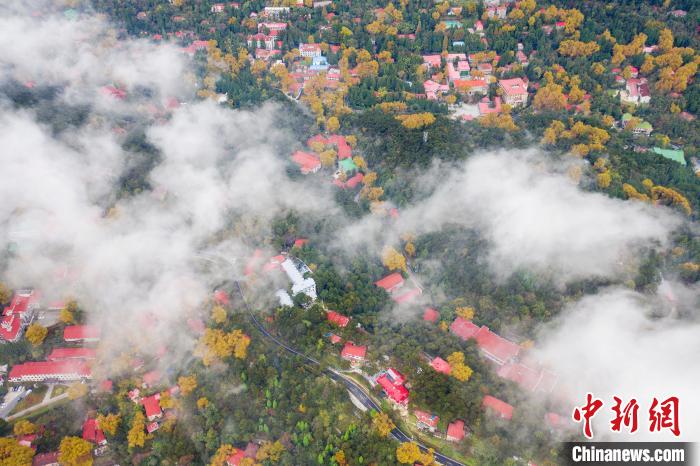 庐山云雾缭绕美不胜收,绝美江西庐山现壮阔云瀑景观