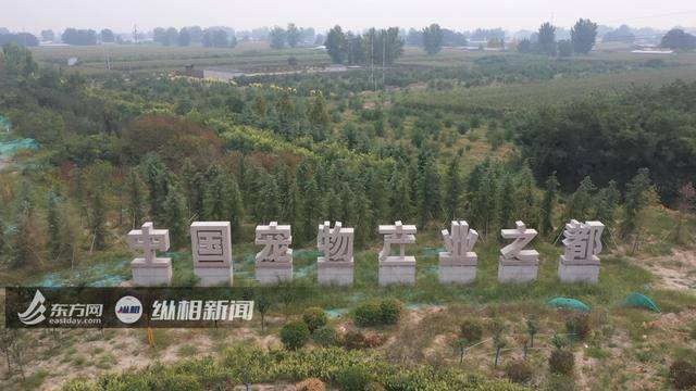 供应宠物食品犬粮,供应宠物零食