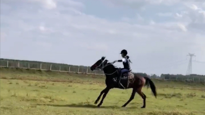 小众运动“飞入寻常百姓家”