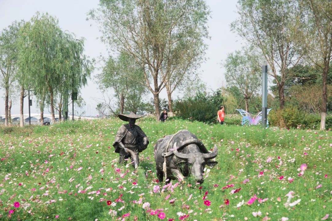 去东湖看花,去东湖看风景