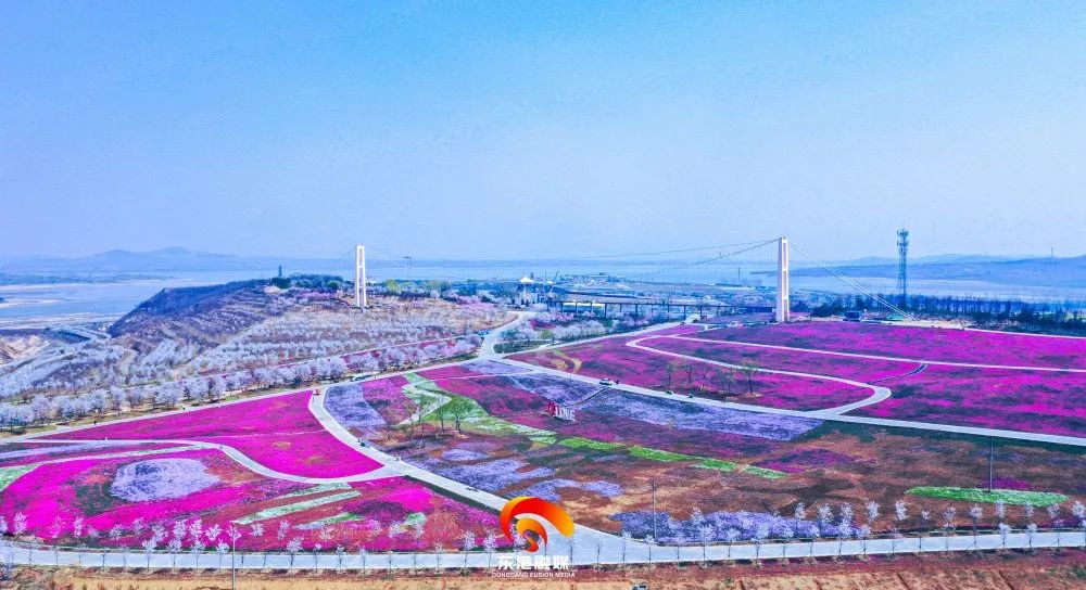 东港辉煌历史,东港荣誉图片