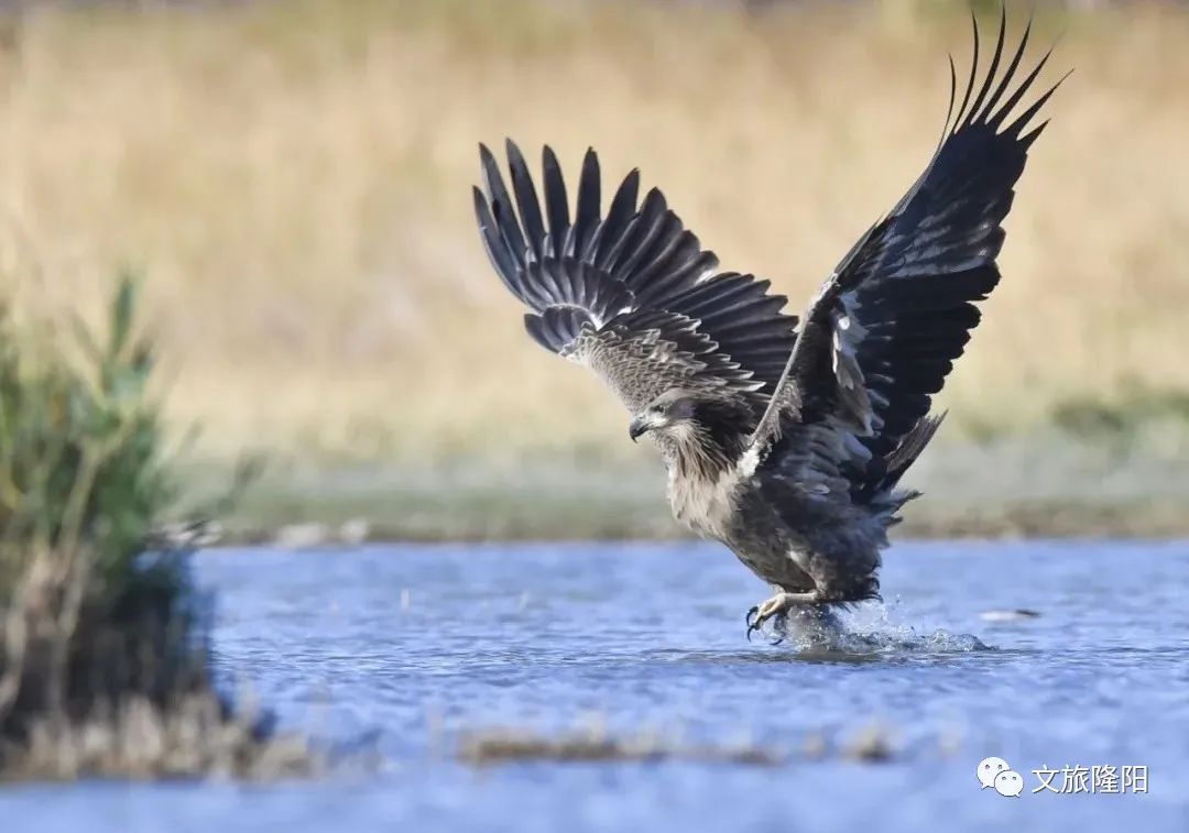 微游巫山,微游游