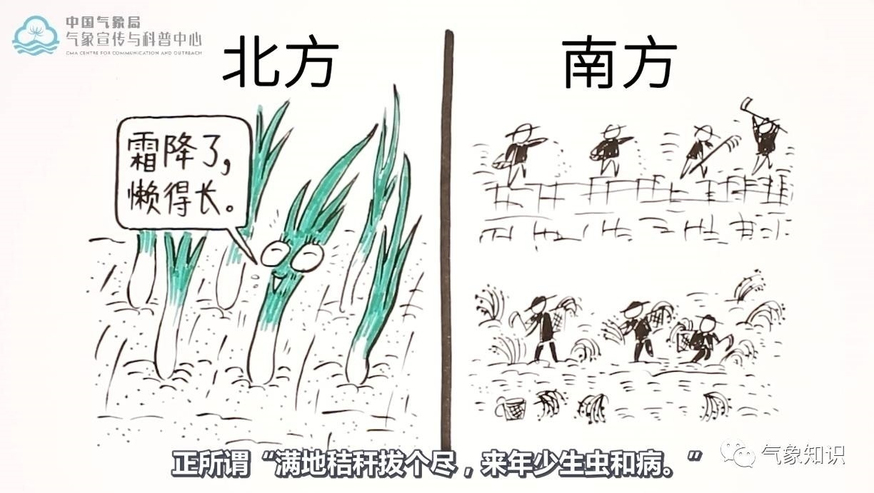 今日霜降已至深秋时节,霜降到底是昨天还是今天