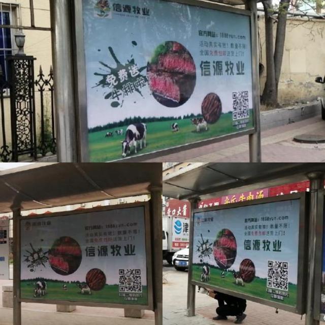 莫让“云养牛”*局骗**毁了“云养殖”经济未来|新京报快评