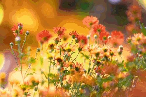 重阳关爱老人暖人心,重阳节陪伴是最好的孝心