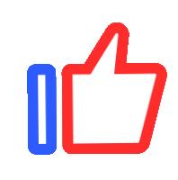 濮阳市市长杯青少年校园足球联赛,市长杯小学生足球比赛女子组