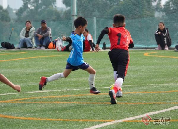 云南青训免费在线观看,云南青训中心比赛