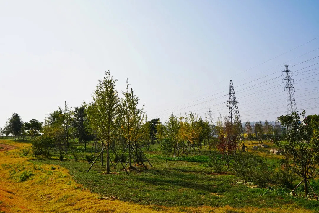 描绘乡村美丽新画卷,描绘中国美丽新画卷