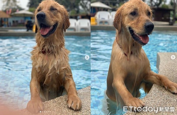 挖耳朵太舒服! 阿金爽到「嘴边肉失守」...努力忍住不笑出来