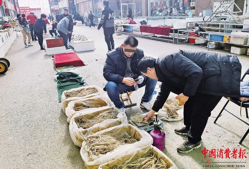 记者暗访！给“野山参”办*证假**，5元一张......