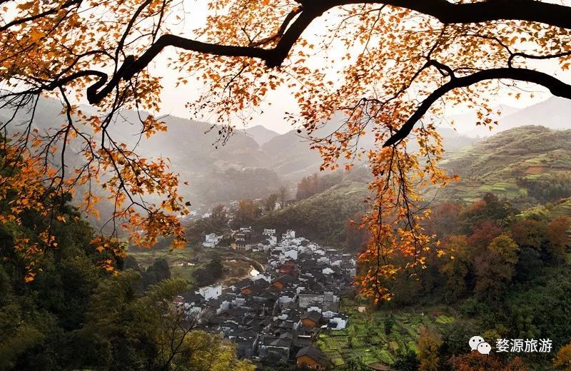 以“朱子文化”为媒!婺源县纪念朱子诞辰890周年暨晒秋赏枫文化旅游系列活动开幕式隆重举行!