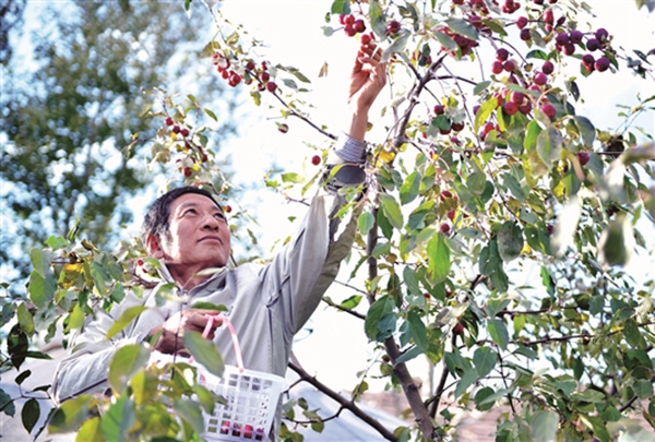 包头世外桃源现状,内蒙古世外桃源
