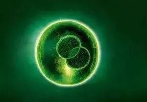 冬天宝宝脸干燥可以涂什么护肤品,儿童护肤冬季防皲裂