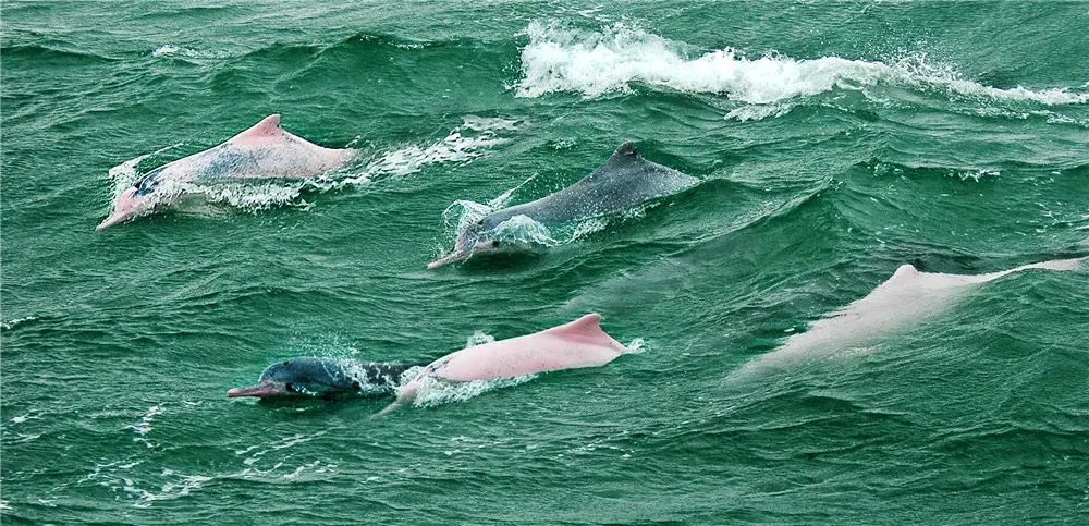 上车旅游打卡,上车打卡下车打卡