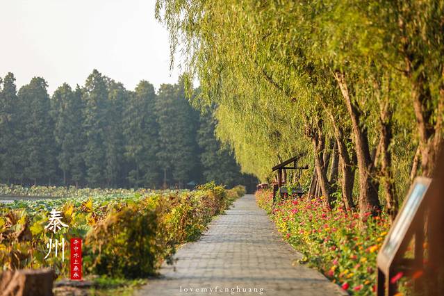 泰州水城有什么好玩,水城泰州
