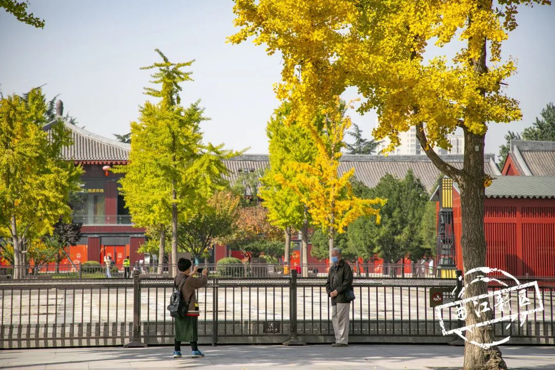 曲江秋天风景,曲江的秋色