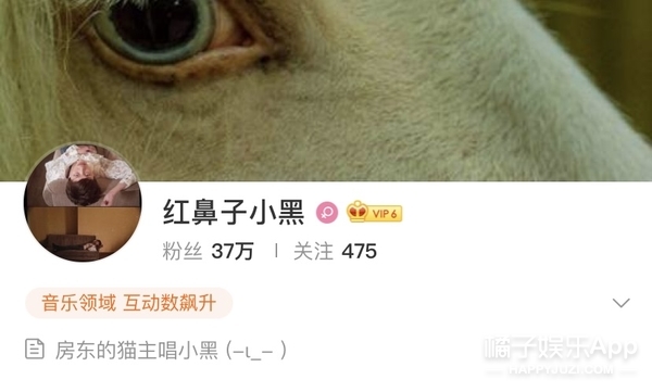 房东的猫云烟成雨演唱会合唱成都,房东的猫云烟成雨演唱会合唱