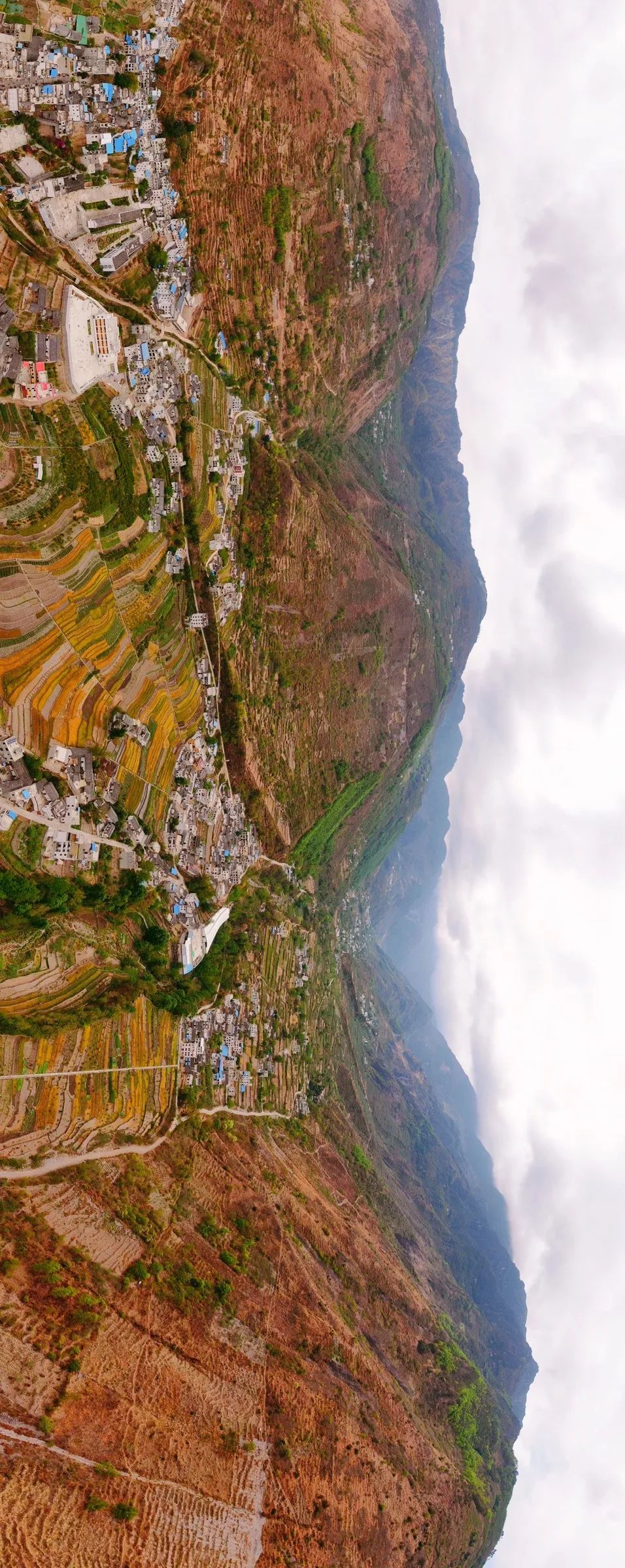 东方巧克力,东方巧克力滋补养生